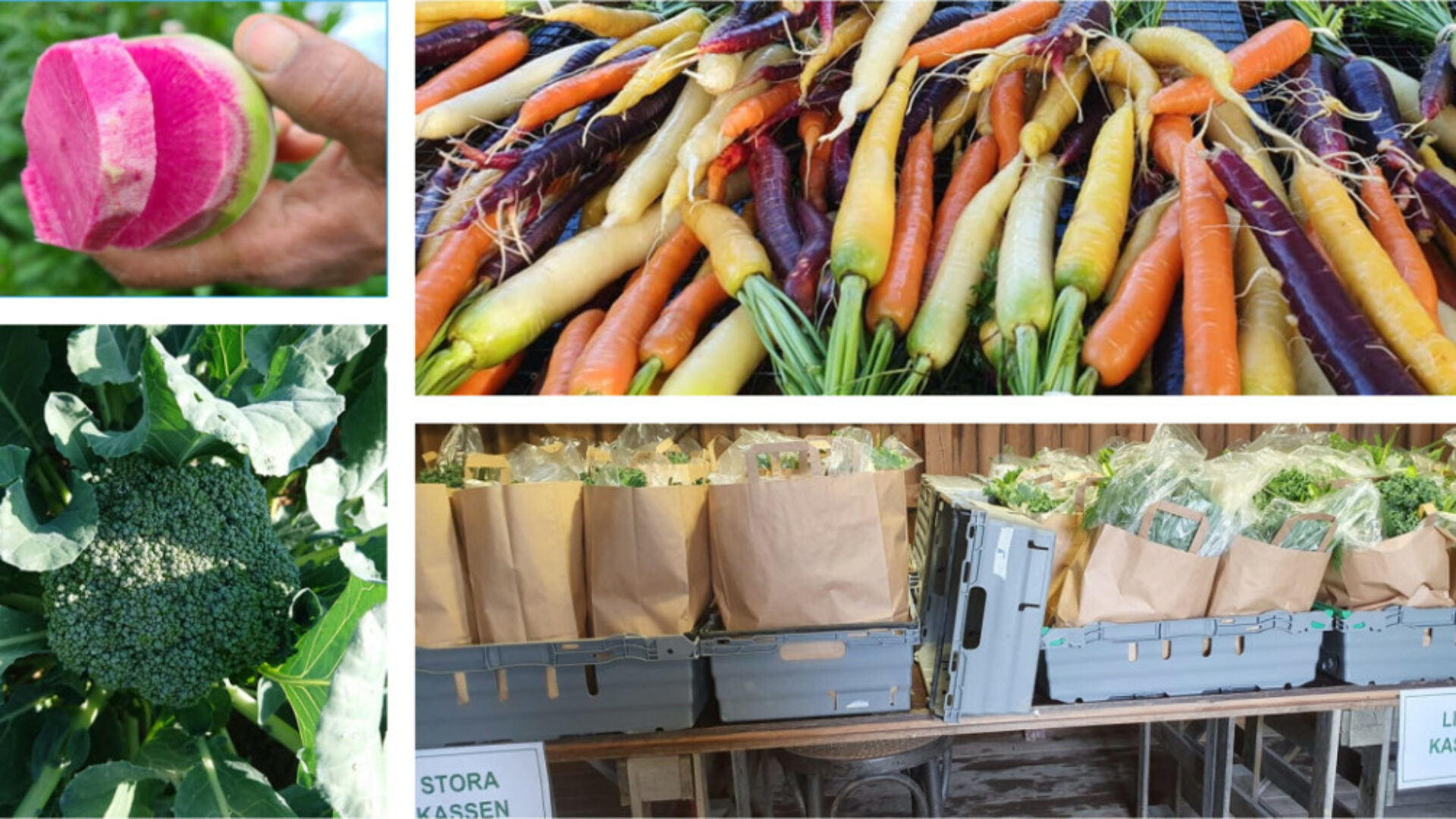 Böle Grönsaker i Ockelbo