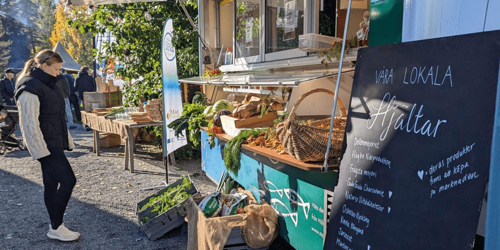 Hitta dina utvecklingsområden – vägen till tillväxt