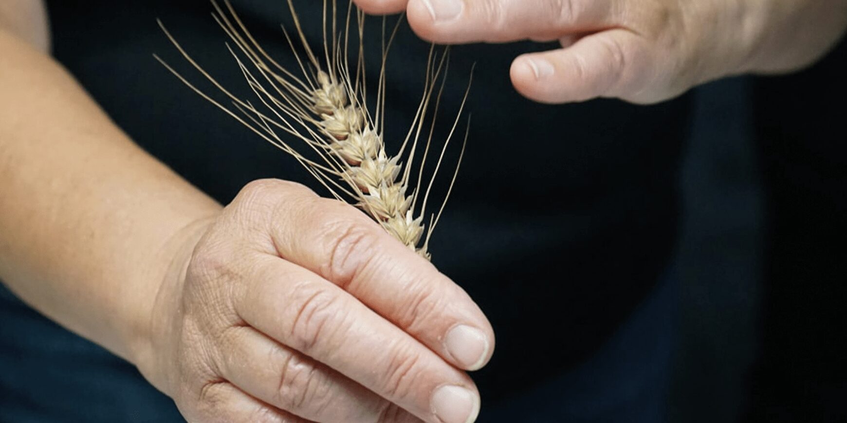 Identifiera möjligheter och maximera din potential