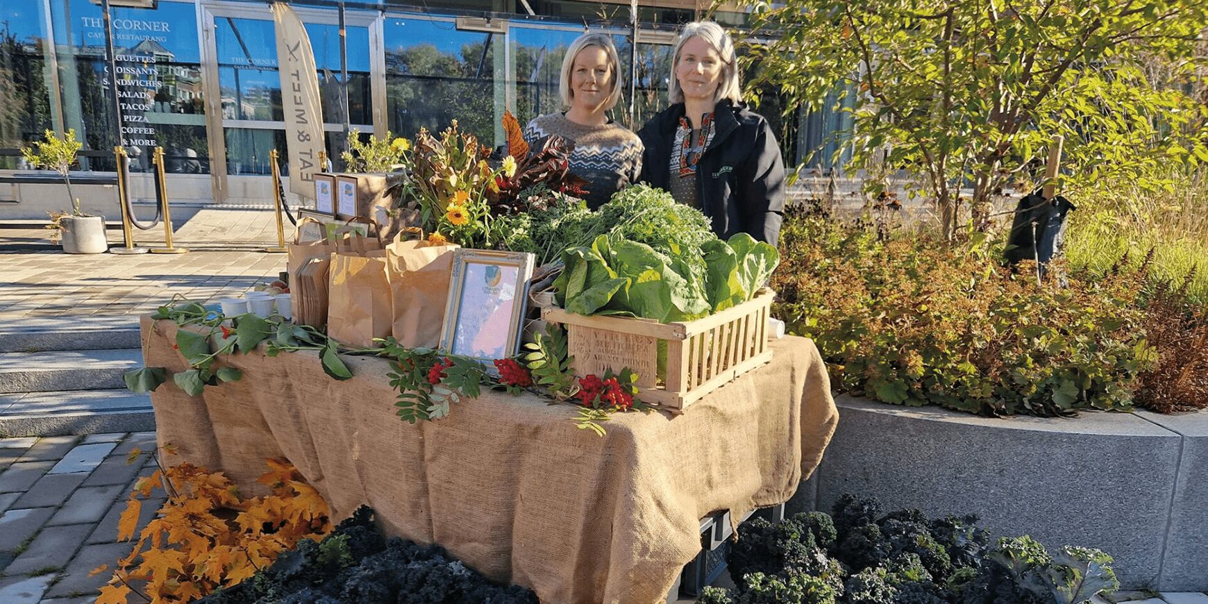 Väx med strategiska samarbeten