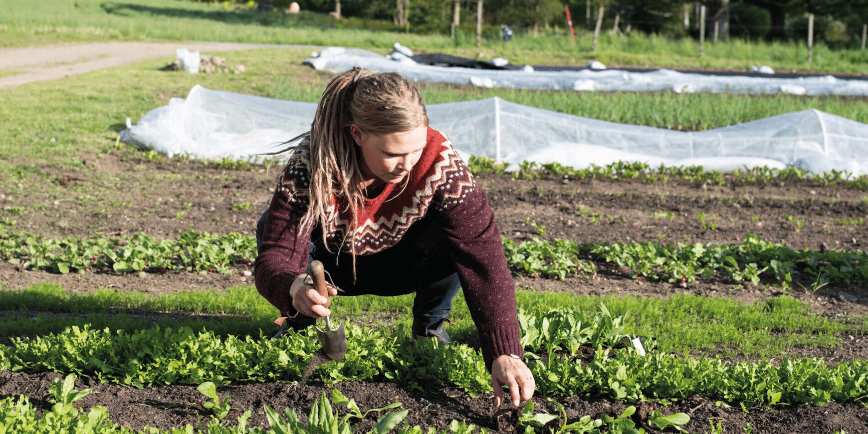 Använd din berättelse – nå fler kunder