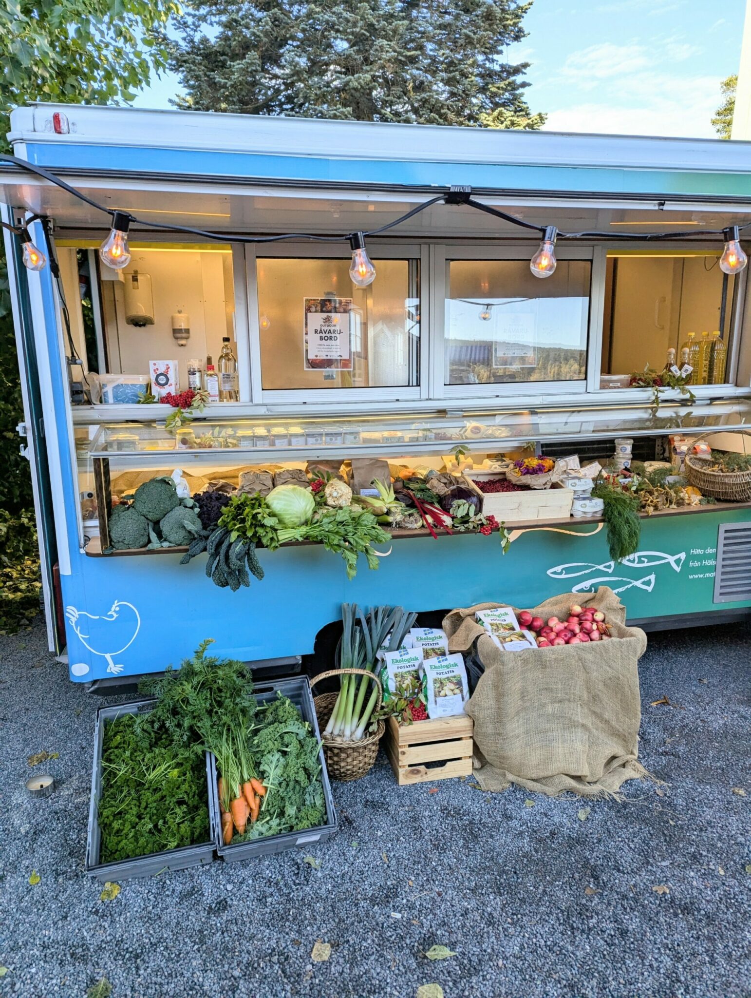 PXL_20240928_081222000~2