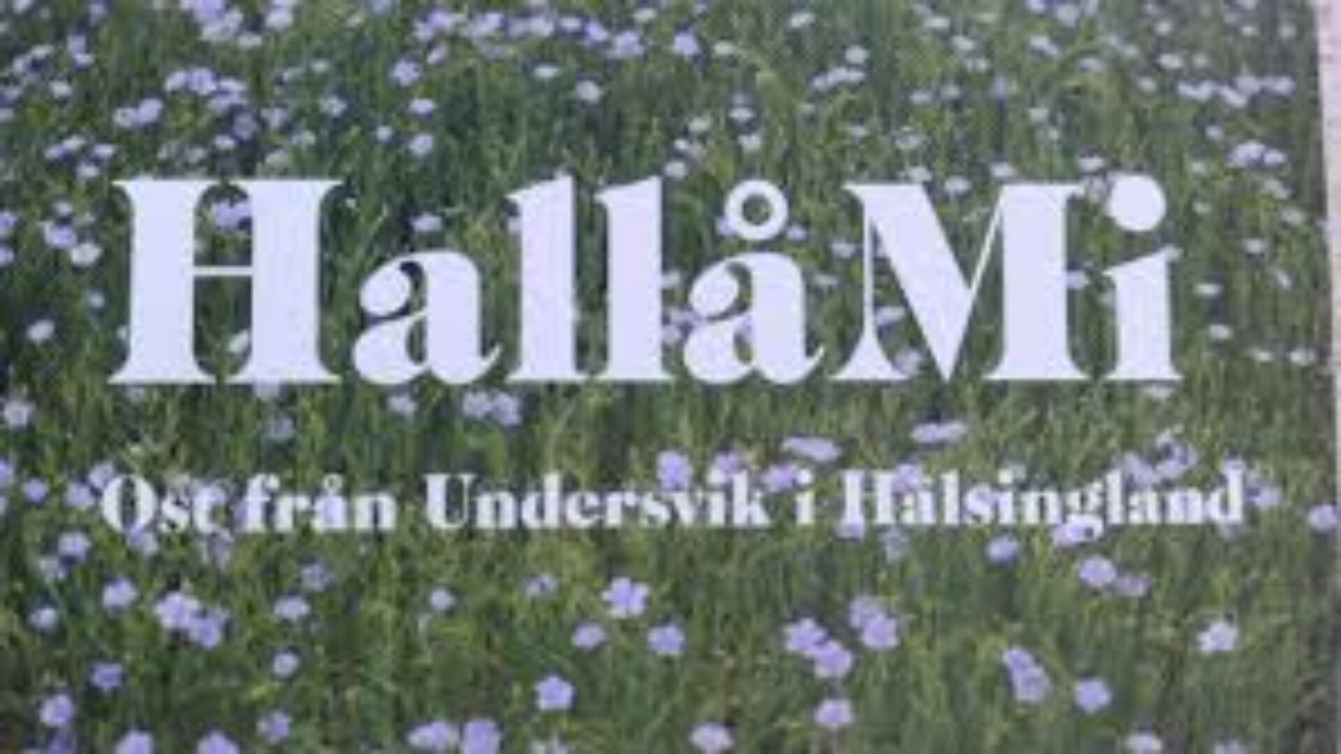 Hallå Mi